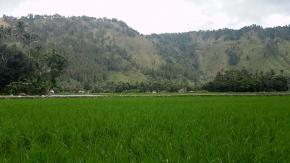 <p>Lembah Bakkara memiliki musim yang stabil, menurut warga setempat keadaan musim tersebut berdampak baik bagi kesuburan tanah. Berbagai jenis tanaman tumbuh berdampingan, seperti bawang merah, bawang putih, padi, kacang tanah, tomat dan lain sebagainya. Hal ini tentu menjadi keuntungan tersendiri bagi warga setempat, yang tidak harus ketergantungan kepada musim untuk jenis tanaman yang akan ditanami.</p>

<p>Nah, itu dia pesona Lembah Bakkara. Semoga beberapa tempat di atas bisa menjadi referensi kunjungan Anda saat berlibut ke Humbahas</p>
